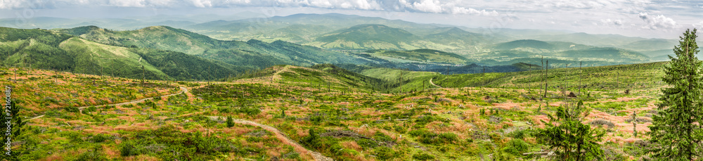 Panorama of mountain sheep, Beskydy