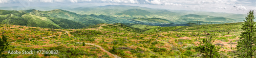 Panorama of mountain sheep, Beskydy