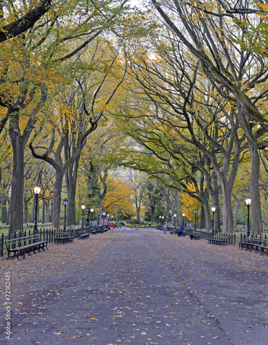 Autumn foliage - Fall colors in Central Park, New York