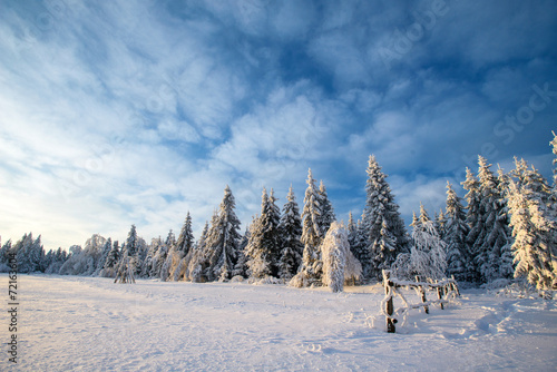 winter landscape trees in iniyi