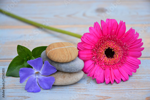 Drie Zen stenen op oud hout met bloemen