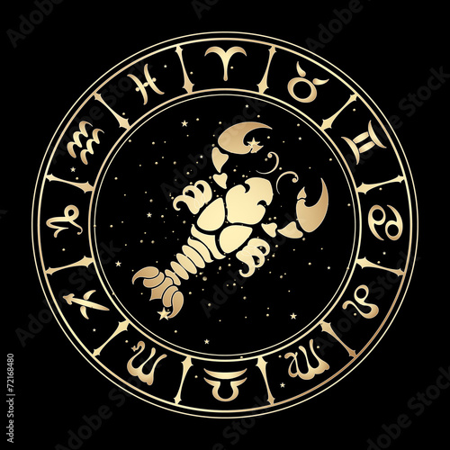 zodiac signs, vector illustration.