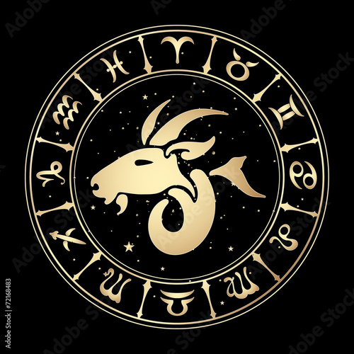 zodiac signs, vector illustration.
