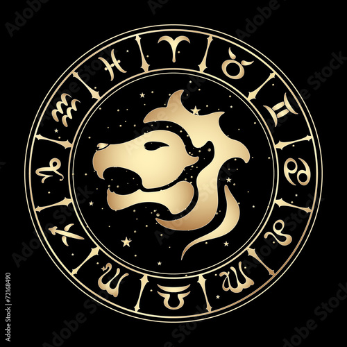 zodiac signs, vector illustration.
