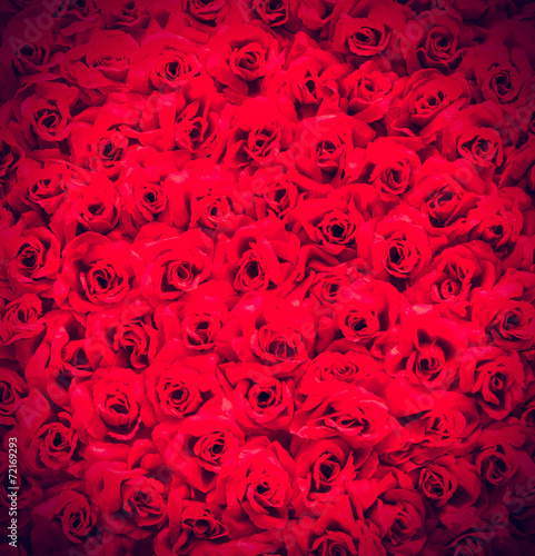 Rose © siraphol