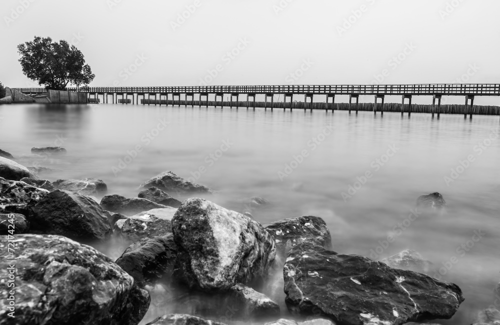Naklejka premium Czarno-białe zdjęcie drewnianego mostu wzdłuż plaży