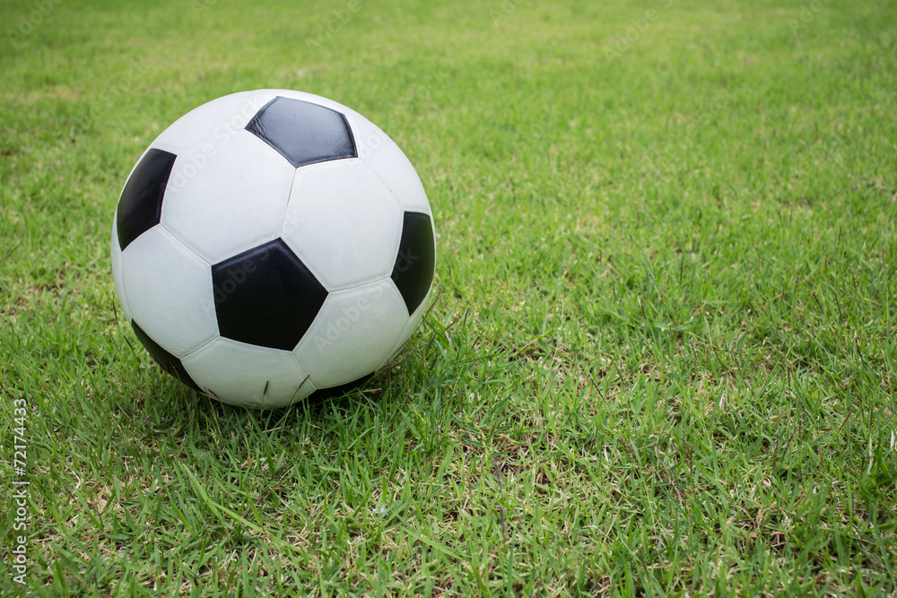 soccer ball on green grass soccer ball on green grass