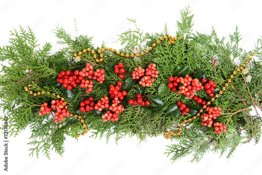 Beautiful Christmas border from fir and mistletoe Beautiful Christmas border from fir and mistletoe