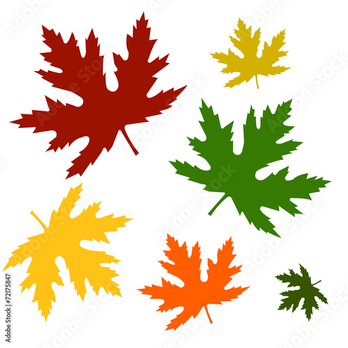 Set of leaves