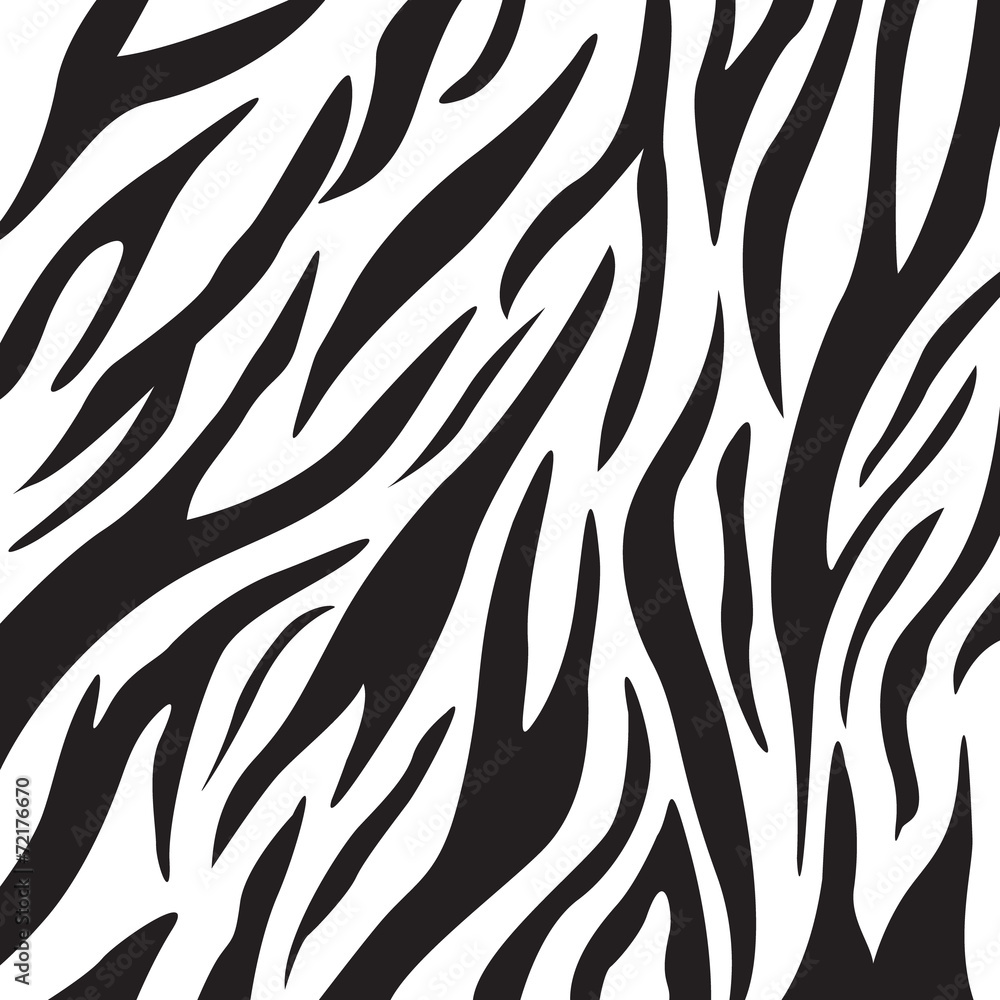 Zebra Print Pattern