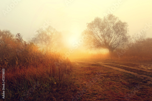 charming rural landscape in the morning