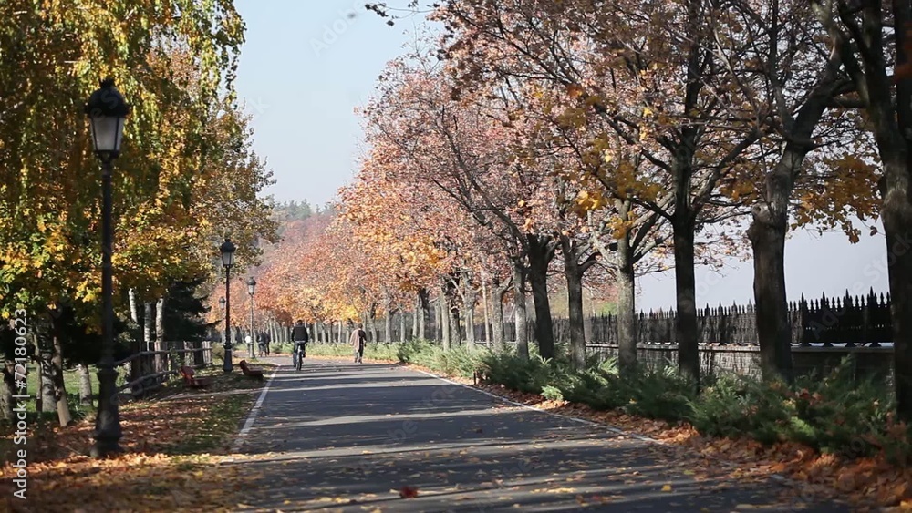 Yanukovych residence