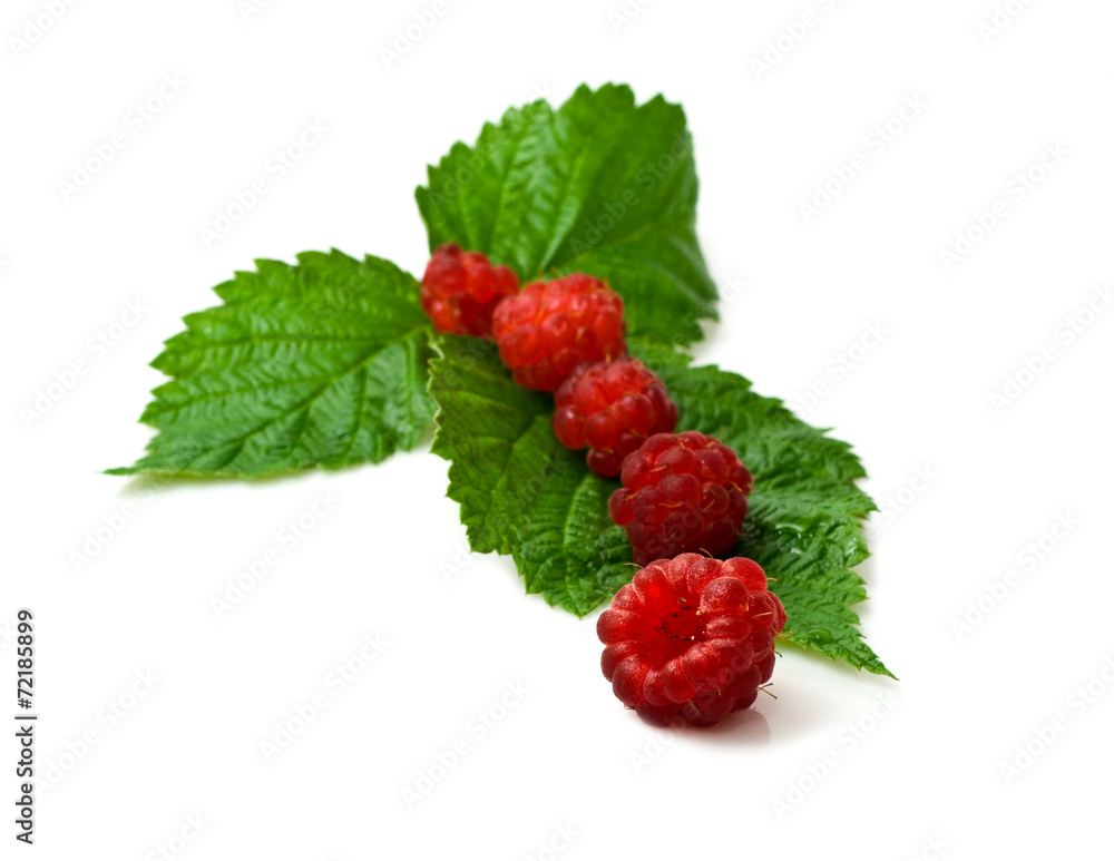 raspberry on a sheet raspberry on a sheet