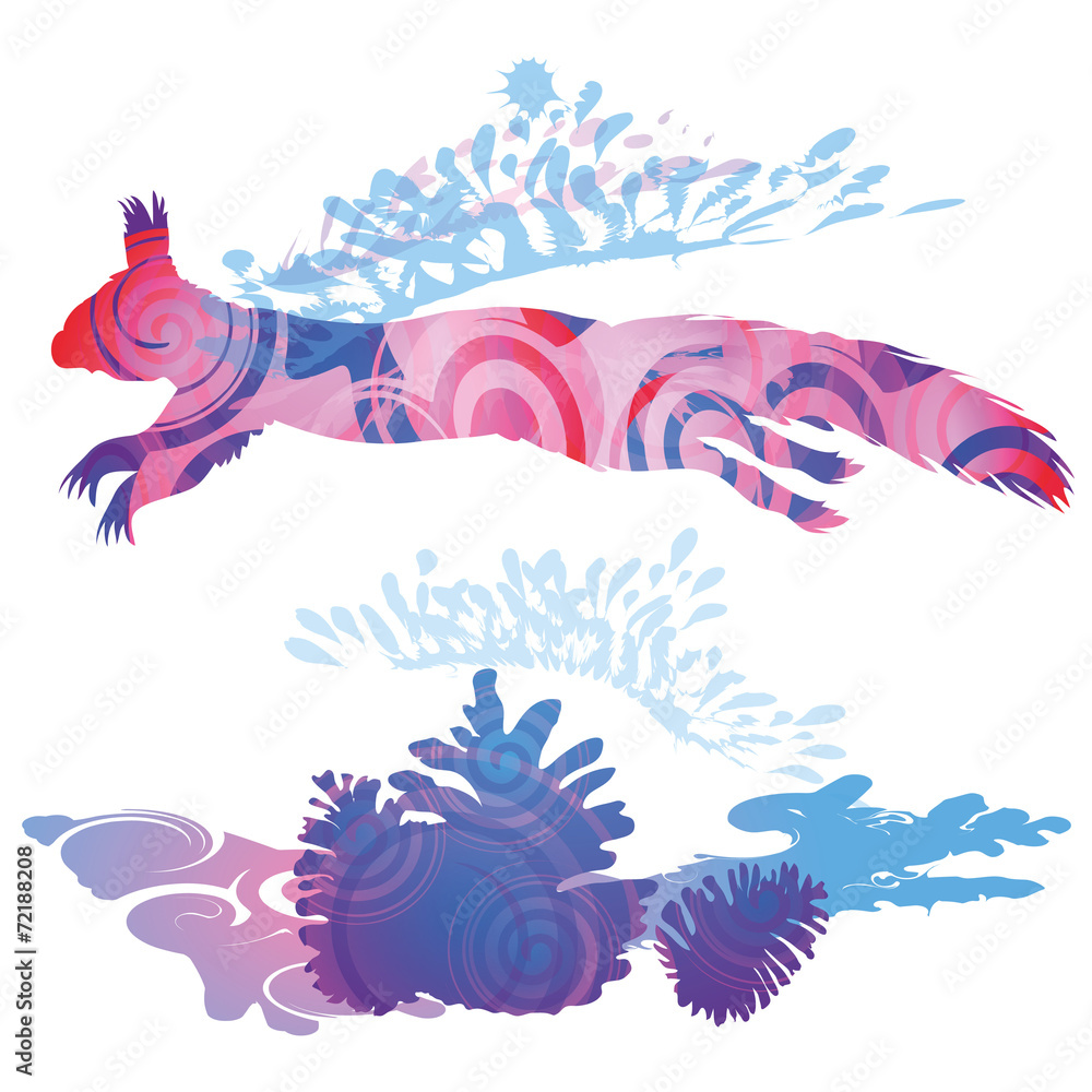 Obraz premium Schattenklecks Eichhörnchen mit Nuss