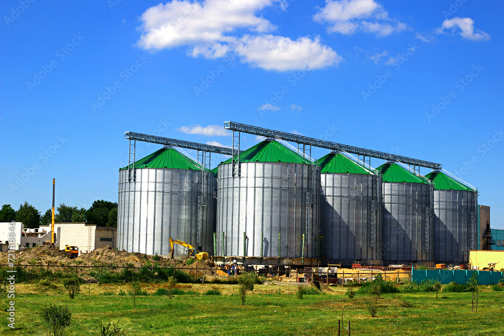 Large industrial capacity at the plant