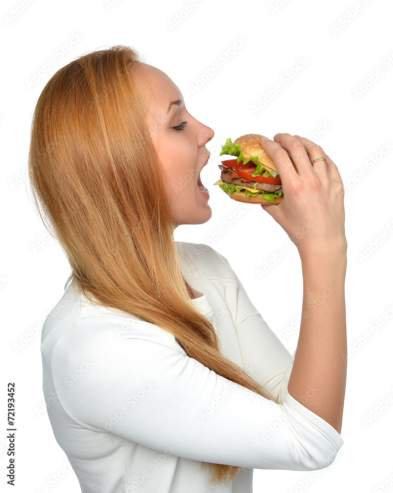Fast food concept. Tasty unhealthy burger sandwich Fast food concept. Tasty unhealthy burger sandwich