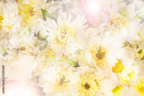 white flowers bouquet and bokeh background.