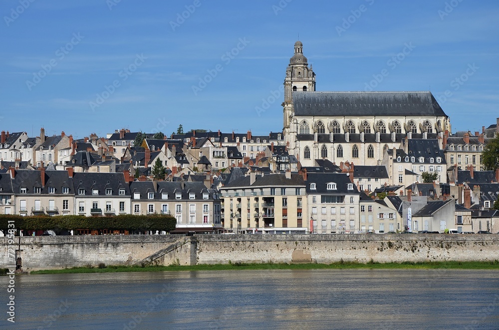 Fototapeta premium La Loire à vélo - Blois