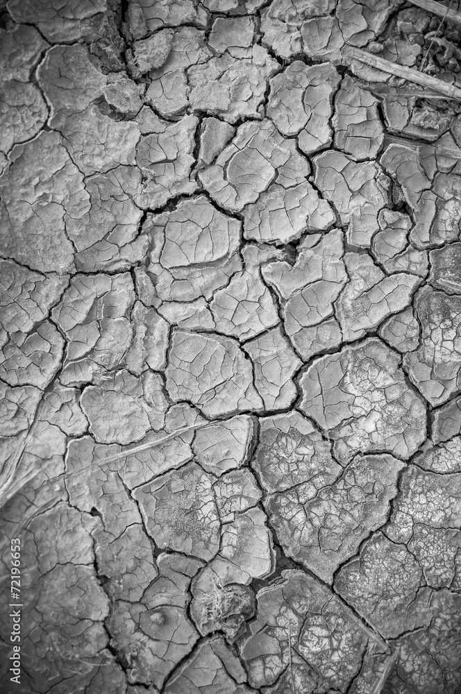 Dried earth texture Dried earth texture