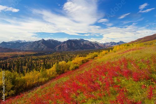 View of Matanuska glacier in fall with red flowers