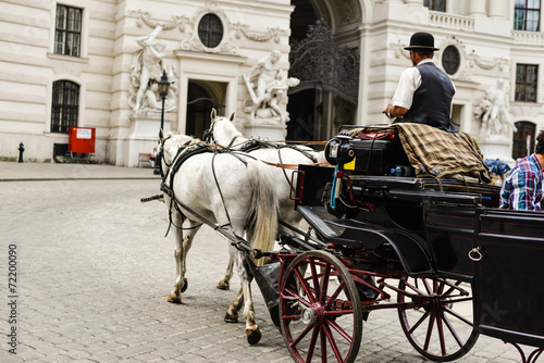 Cuadro en lienzo Horse drawn carriage