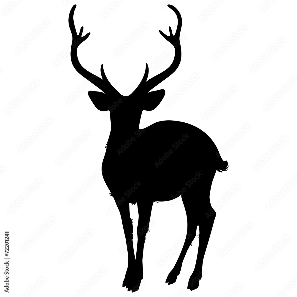 Obraz premium deer silhouette