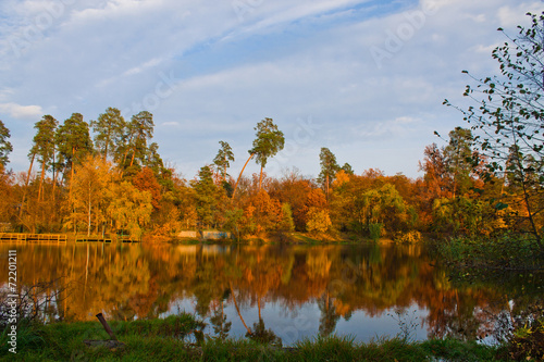 Fototapeta Naklejka Na Ścianę i Meble -  yellow autumn on the forest lake