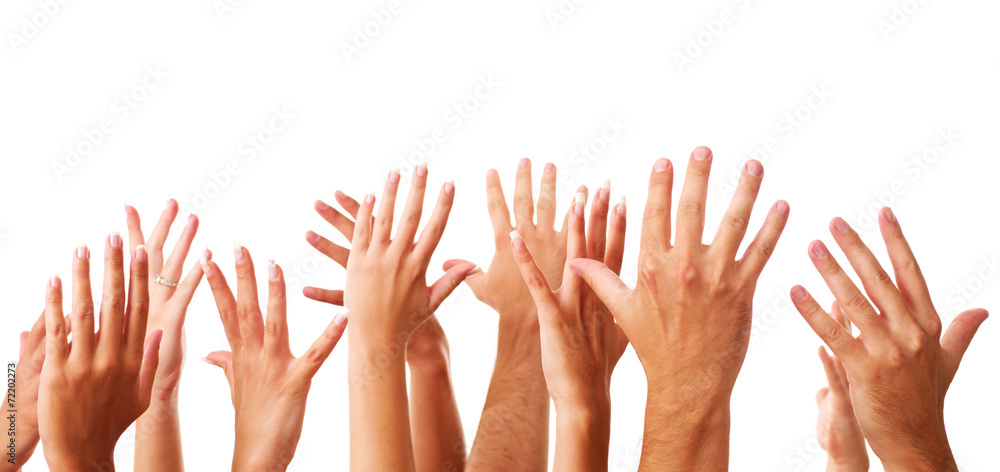 several raising human hands several raising human hands