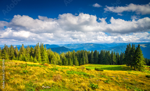 Carpatian summer landscape.