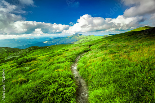 Carpatian summer landscape. photo