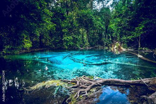 Fototapeta Naklejka Na Ścianę i Meble -  Emerald blue Pool