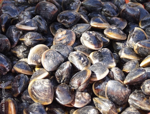 Fototapeta Naklejka Na Ścianę i Meble -  Close up of fresh clams in fish market