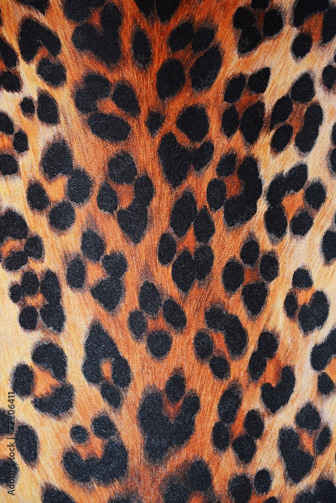 wild pattern wild pattern