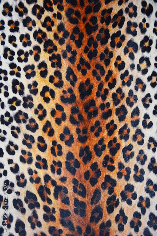 wild pattern wild pattern