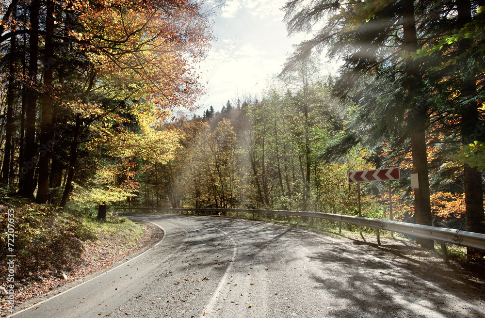 Curved road to forest in autumn