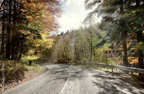 Curved road to forest in autumn