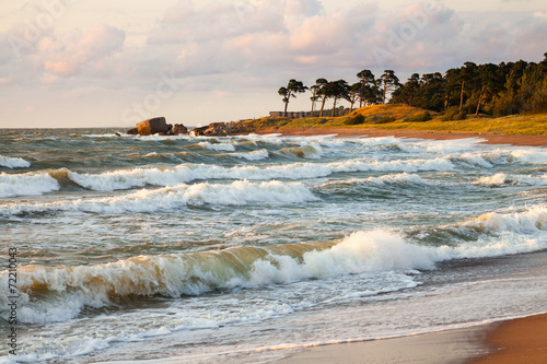 Baltic shore
