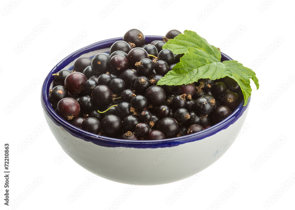 Black currant Black currant