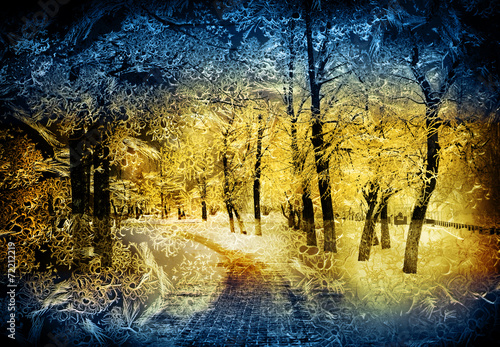 Winter nature, collage