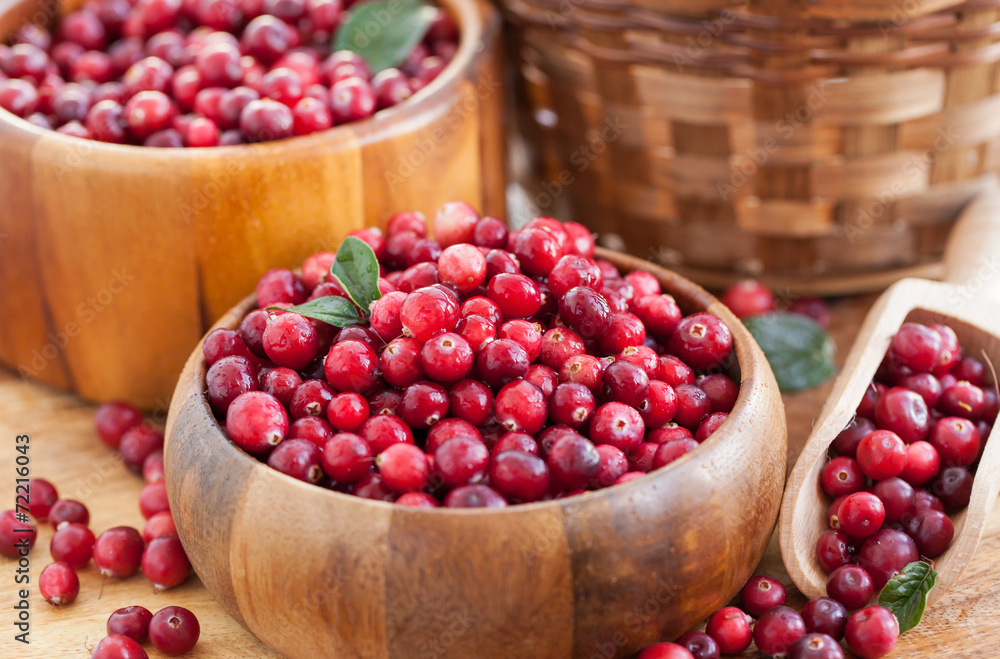 Fresh red cranberry Fresh red cranberry