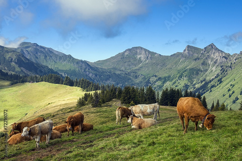 Rural landscape in the Swiss Alps