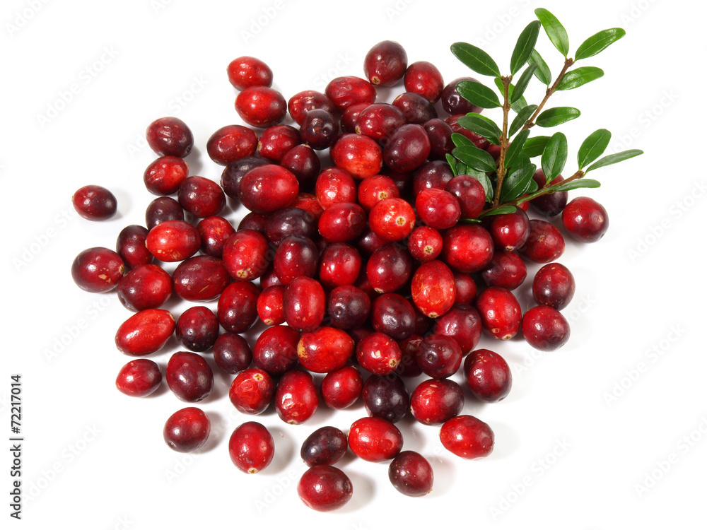 Cranberries Cranberries