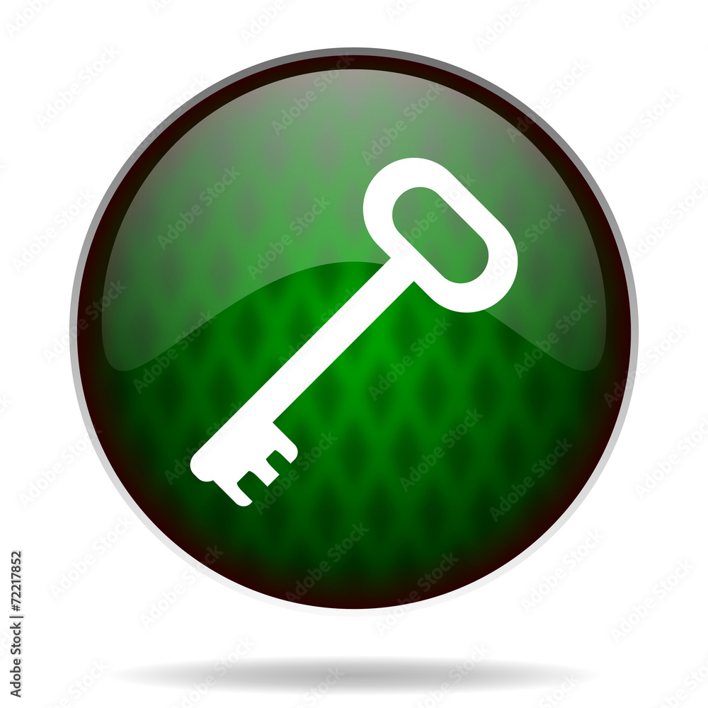 key green internet icon key green internet icon
