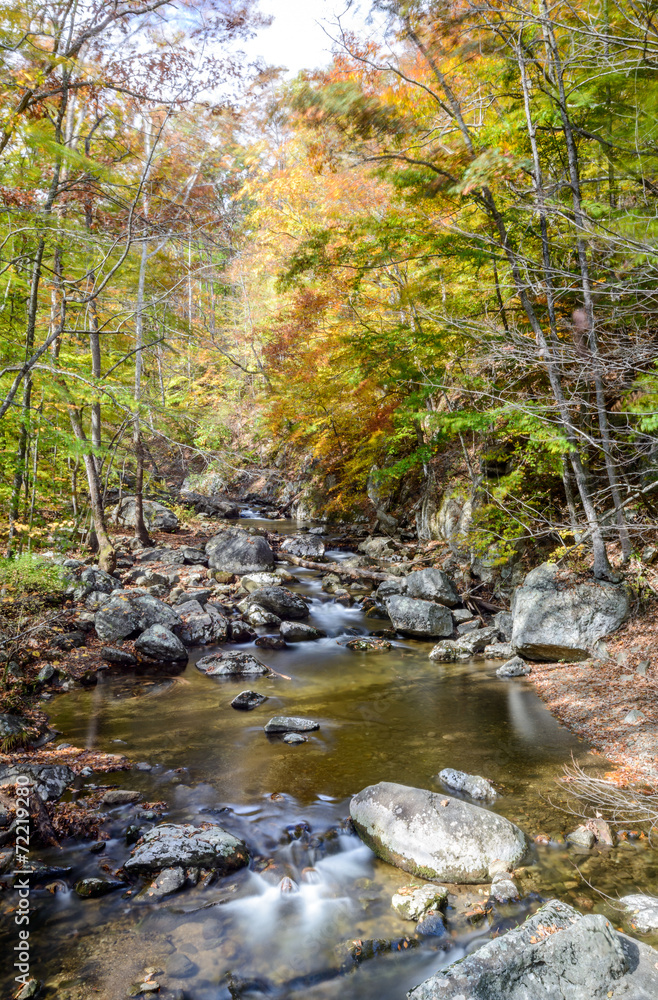 Mountain Creek 2 Mountain Creek 2