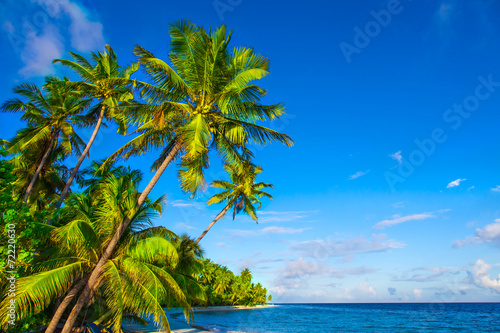 Rest in Paradise - Malediven -  Himmel, Strand und Palmen © hetwig