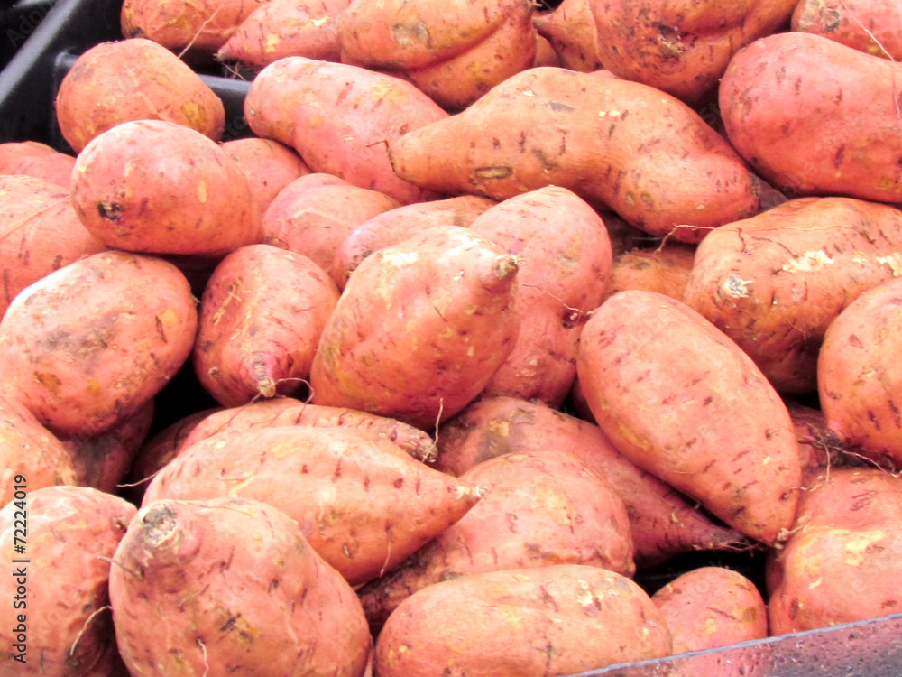 St Jacobs Village sweet potato 2013 St Jacobs Village sweet potato 2013