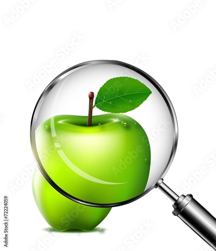 reviewing an green apple with a magnifying glass