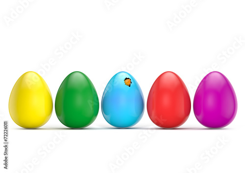 colorful eggs tweet bird