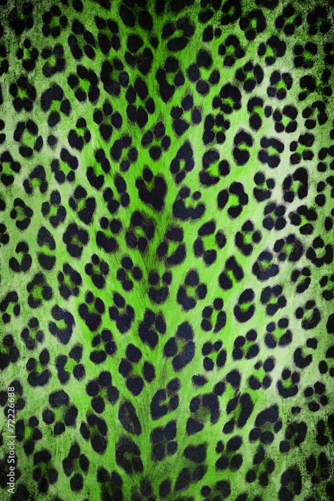 wild pattern wild pattern