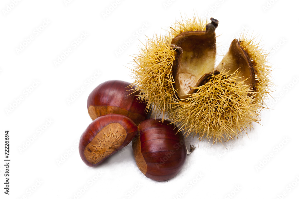 natural chestnuts, fresh fruits of the season of autumn natural chestnuts, fresh fruits of the season of autumn
